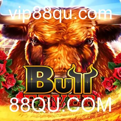 BullFever: Descubra as Emoções e As Regras do Novo Jogo Sensação