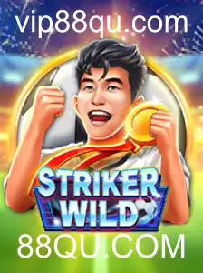 Aventuras e Estratégias em StrikerWILD